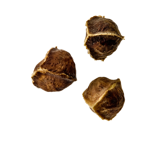 <p>Moringa</p><p>Seed</p>